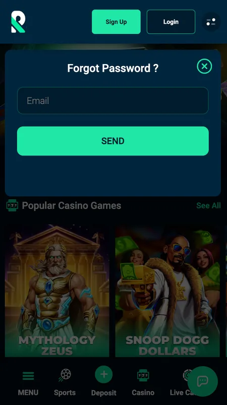 Roletto password reset screen with email field